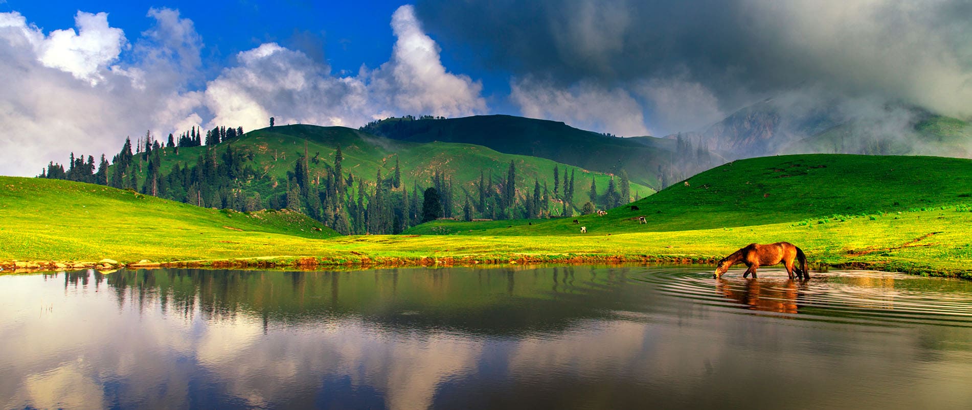 Paya Meadows Kaghan